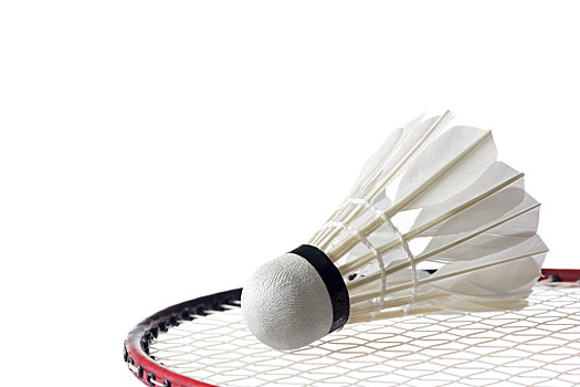 布里兰的主 布里兰的主