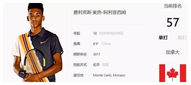 向合规化与